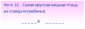 �������: ���� 18. ����� ������� ������ ����� �� ������ ����������

 _ _ _ _ _ � _ _ _ _ _ _

