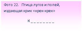 �������: ���� 22. ����� ����� � �����, �������� ���� «����-����»

� _ _ _ _ _ _ _ _

