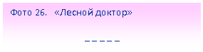 Подпись: Фото 26. «Лесной доктор»
_ _ _ _ _