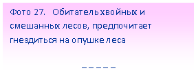 Подпись: