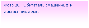 �������: ���� 28. ��������� ��������� � ���������� ����� 

_ _ _ _ _ _

