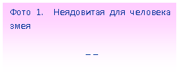 Подпись: