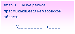 Подпись: Фото 3. Самое редкое пресмыкающееся Кемеровской области
У_ _ _ _ _ _ _ _ п _ _ _ _