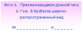 �������: ���� 6. �������������� ������ ��. � �������� ������ ���������������� ���

 � _ _ _ _ _ _ _ _ _ _ � _ _ _ _ _ _

