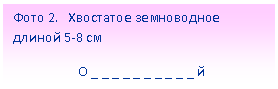 Подпись: Фото 2. Хвостатое земноводное длиной 5-8 см
О _ _ _ _ _ _ _ _ _ _ й
т _ _ _ _ _