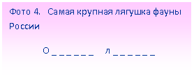 Подпись: Фото 4. Самая крупная лягушка фауны России
О _ _ _ _ _ _ л _ _ _ _ _ _