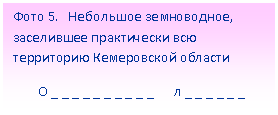 Подпись: