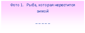 Подпись: