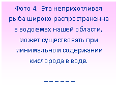 Подпись: