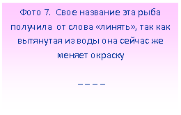 �������: