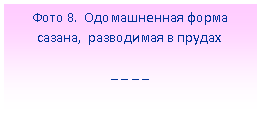 Подпись: