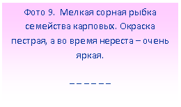 �������: ���� 9. ������ ������ ����� ��������� ��������. ������� �������, � �� ����� ������� � ����� �����.

_ _ _ _ _ _

