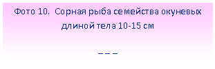 Подпись:
