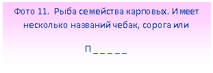 �������: ���� 11. ���� ��������� ��������. ����� ��������� �������� �����, ������ ���

� _ _ _ _ _ 

