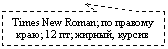 ������������� �������: Times New Roman; �� ������� ����; 12 ��; ������, ������