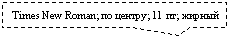 ������������� �������: Times New Roman; �� ������; 11 ��; ������ 