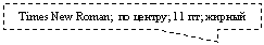 ������������� �������: Times New Roman; �� ������; 11 ��; ������ 