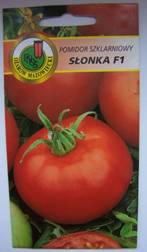 Pomidor szklarniowy Slonka F1