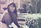 RisVideo13