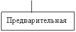 Подпись: Предварительная