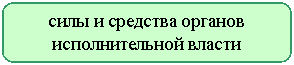 Скругленный прямоугольник: силы и средства органов
исполнительной власти