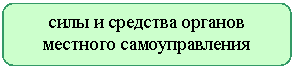 Скругленный прямоугольник: силы и средства органов
местного самоуправления