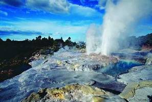 ��������: Geysers at Whakarewarewa