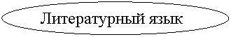 Овал: Литературный язык