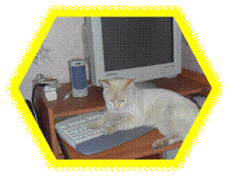 G:\DCIM\100SSCAM\SDC10877.JPG