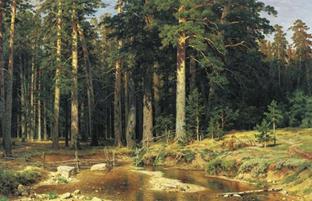 http://*****/i/u/1009/Shishkin_16.jpg