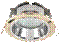 H2R_gold4