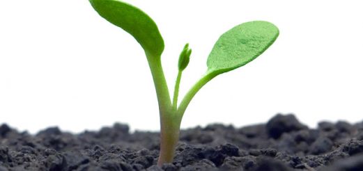 �������� ����� �������� ������������ ����