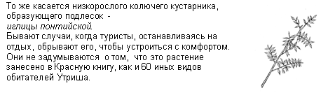 Подпись: То же касается низкорослого колючего кустарника, образующего подлесок -
иглицы понтийской.
Бывают случаи, когда туристы, останавливаясь на отдых, обрывают его, чтобы устроиться с комфортом. Они не задумываются о том, что это растение занесено в Красную книгу, как и 60 иных видов обитателей Утриша.