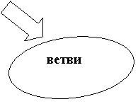 Овал: ветви