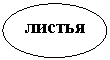 Овал: листья