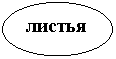 Овал: листья