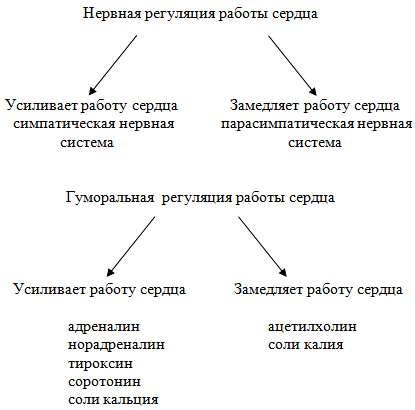 http://*****/articles/518361/img2.gif