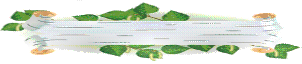 C:\Documents and Settings\Admin\������� ����\������\������� 2.jpg