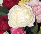 Cream_ Piaget_01