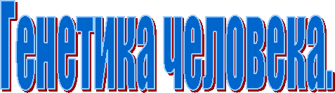 Генетика человека.