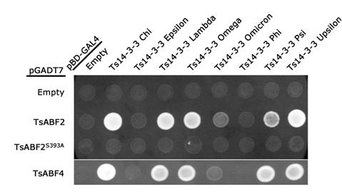 Figure5