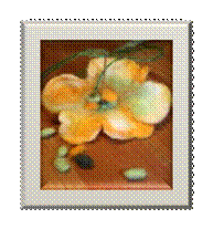 http://pics.livejournal.com/woolclub/pic/0004caxk/s320x240