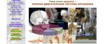 http://*****/edu_images/bio1/skeletos_small.JPG
