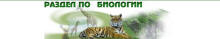 http://*****/edu_images/bio1/websib_small.JPG