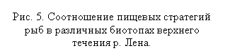 �������: