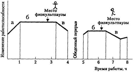 Рис. 11.3. Место физкультурной паузы в течение рабочего дня