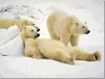 polar-bear-rule-coal-plant"