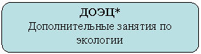 Скругленный прямоугольник: ДОЭЦ*
Дополнительные занятия по экологии