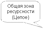 Скругленная прямоугольная выноска: Общая зона
ресурсности
(Целое)