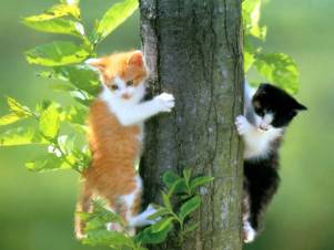 http://*****/ecology/images/calendar/EC_0103_1.jpg